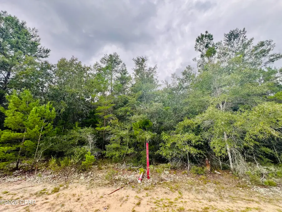 Lot 5 Oxford Avenue, Chipley, FL 32428 - #2