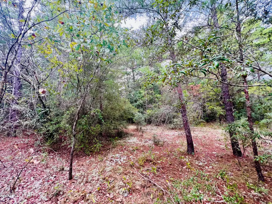 Lot 5 Oxford Avenue, Chipley, FL 32428 - #3