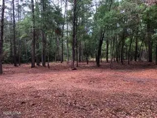 4954 Derby Drive, Chipley, FL 32428 - #2