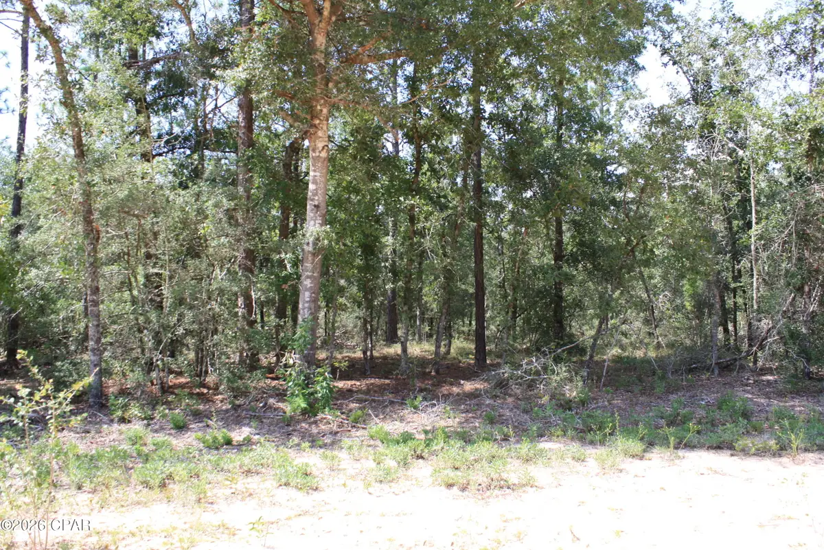 TBD Monogahela Avenue, Alford, FL 32420 - #1