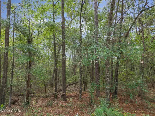 Lot 24 Remington Place, Bonifay, FL 32425