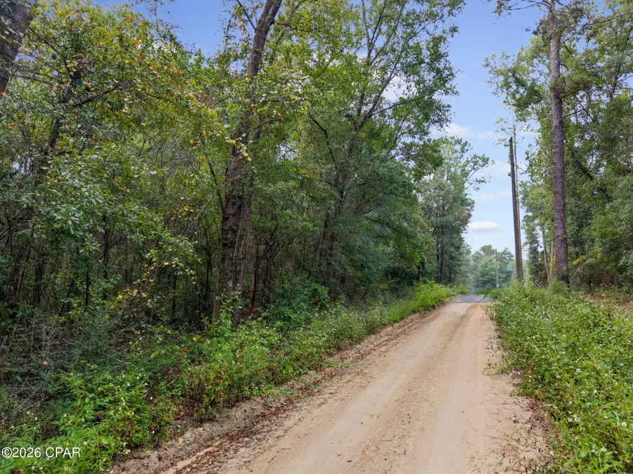 Lot 24 Remington Place, Bonifay, FL 32425 - #3