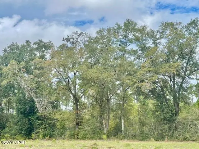 3359 Woodrest Road, Cottondale, FL 32431 - #1