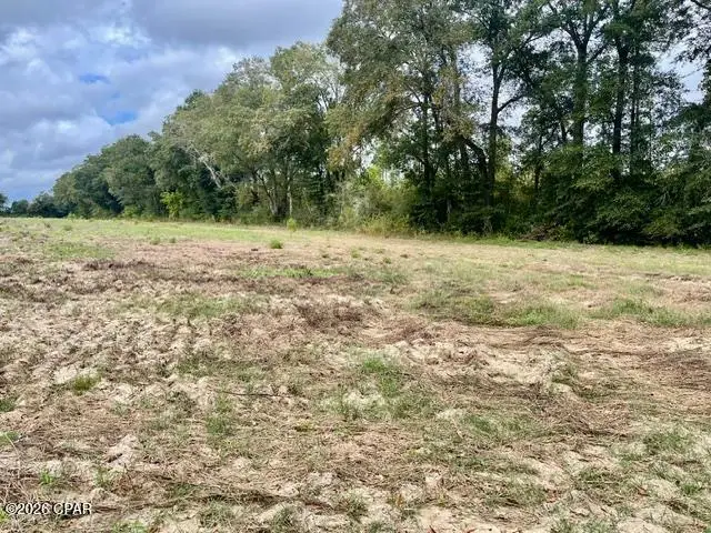 3359 Woodrest Road, Cottondale, FL 32431 - #3