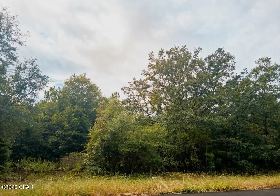 4114 Janet Circle, Chipley, FL 32428 - #3