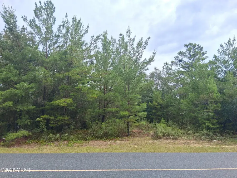 Lot 18 Zinnia Drive, Chipley, FL 32428 - #2