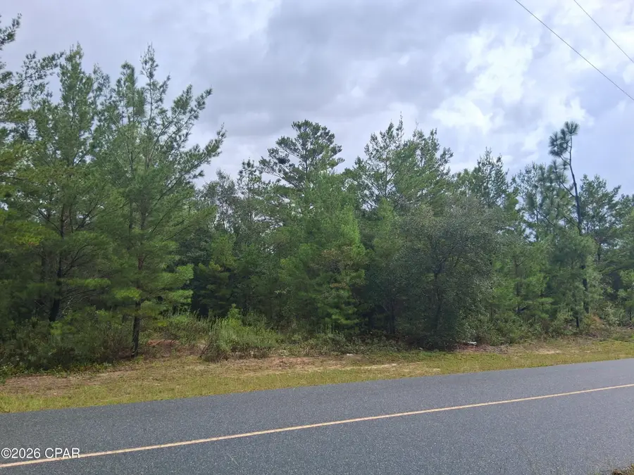 Lot 18 Zinnia Drive, Chipley, FL 32428 - #3