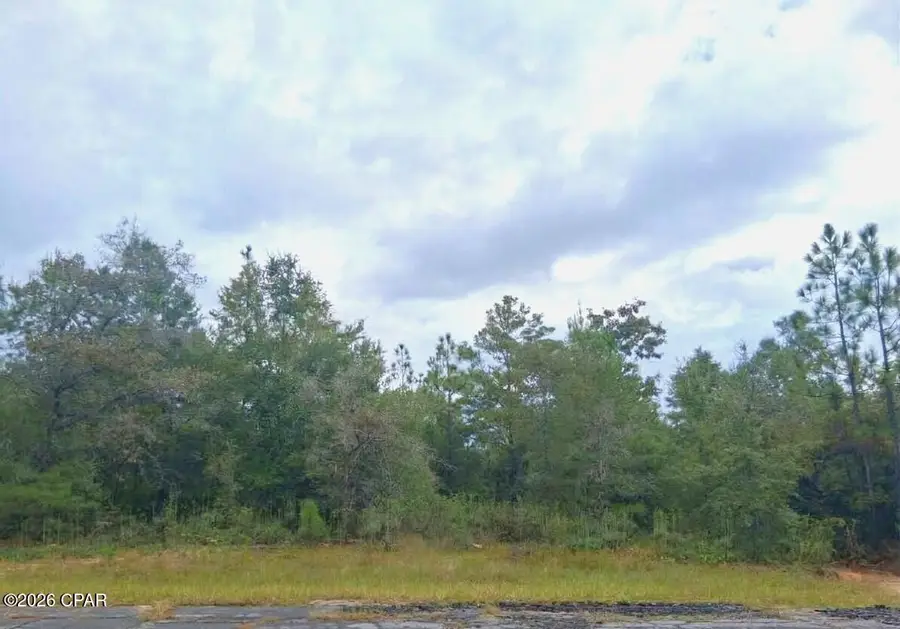 Lot 2 Yorkshire Drive, Chipley, FL 32428 - #2