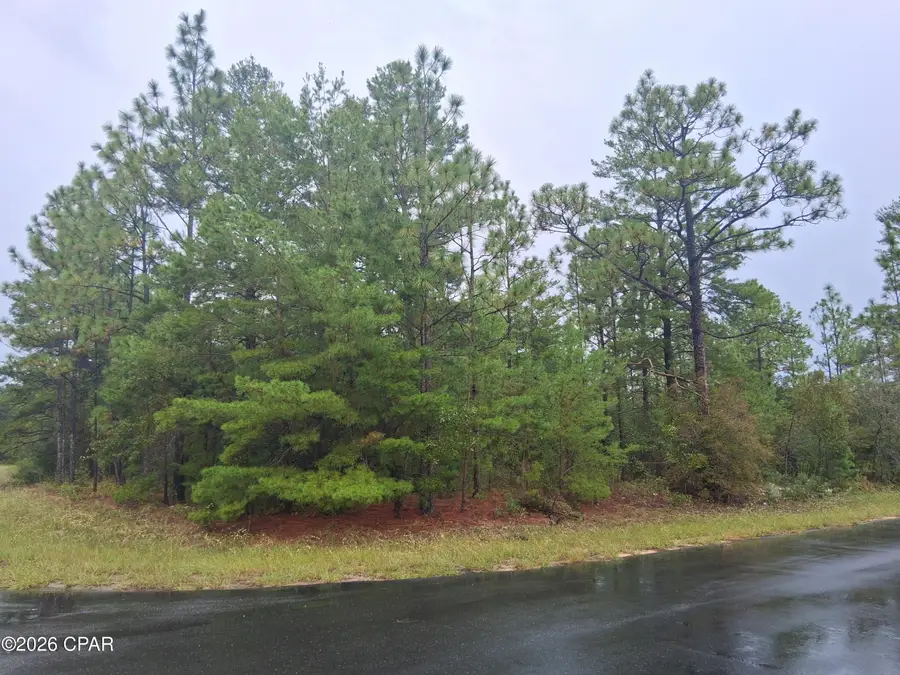Lot 9 Windbrook Street, Chipley, FL 32428 - #2