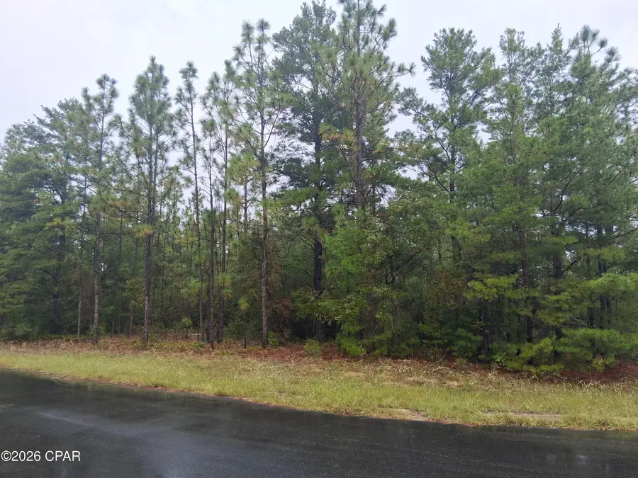 Lot 9 Windbrook Street, Chipley, FL 32428 - #3