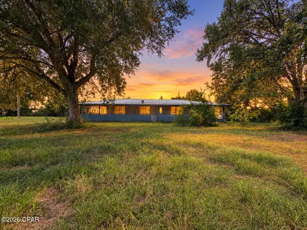 25966 NE George Maloy Lane, Altha, FL 32421