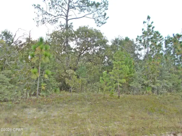 Lot 6 Nolan Drive, Chipley, FL 32428