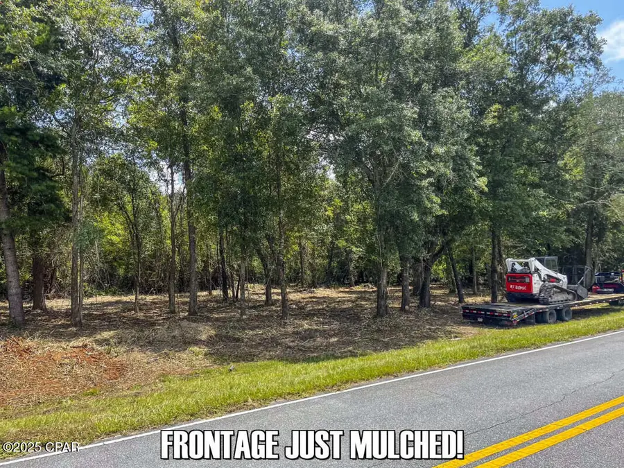 0 Salem Church Road, Sneads, FL 32460 - #3