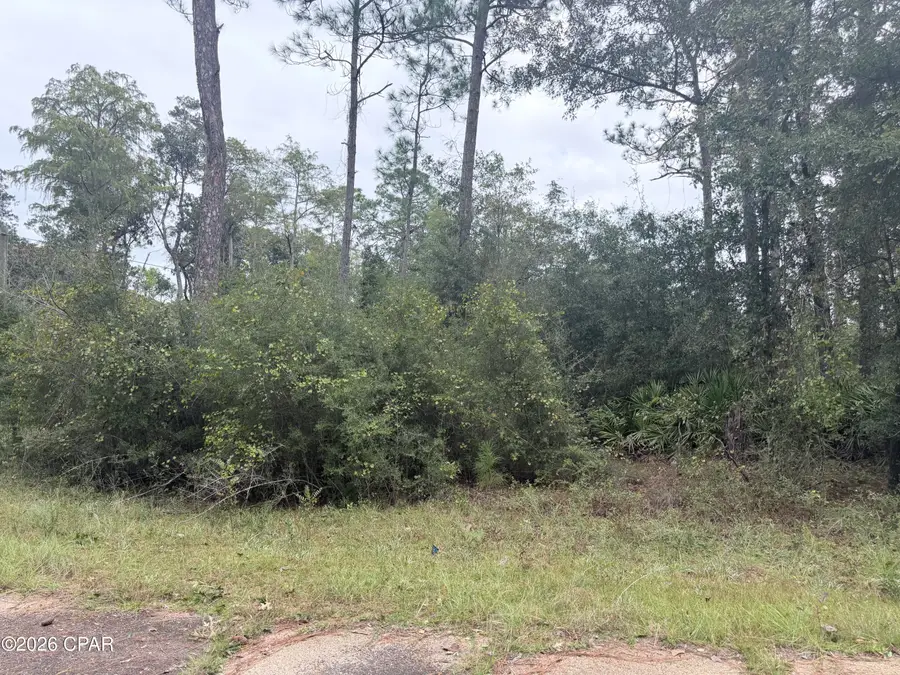 Lot 1 Wellington Place, Chipley, FL 32428 - #3