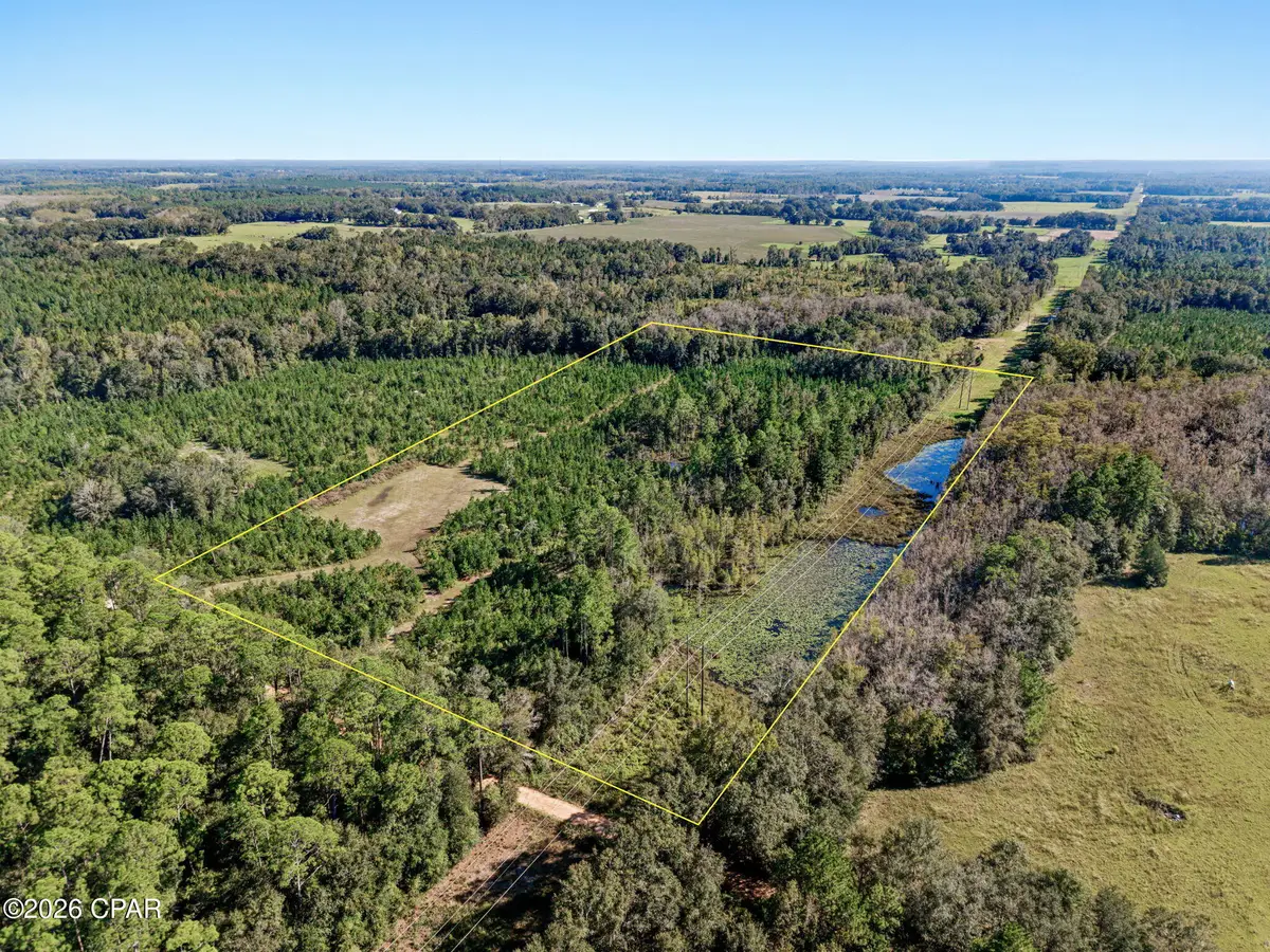 XXX Birch Road, Graceville, FL 32440 - #1