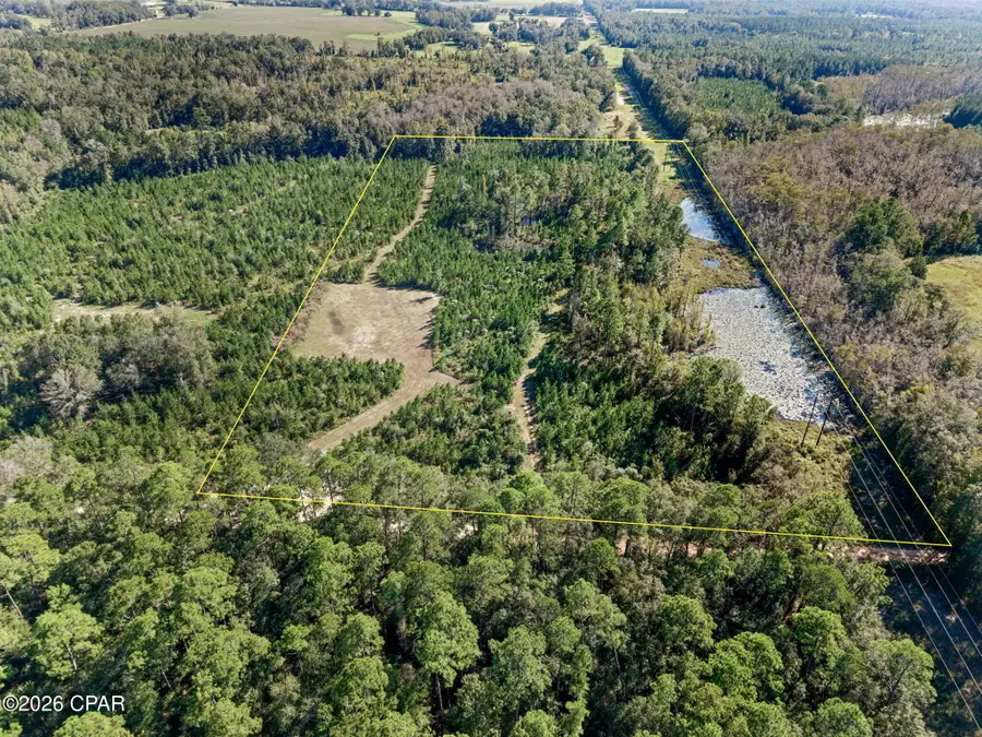 XXX Birch Road, Graceville, FL 32440 - #2