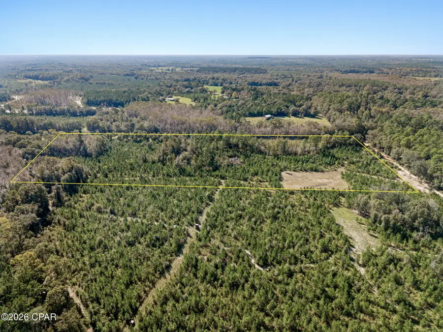 XXX Birch Road, Graceville, FL 32440 - #3
