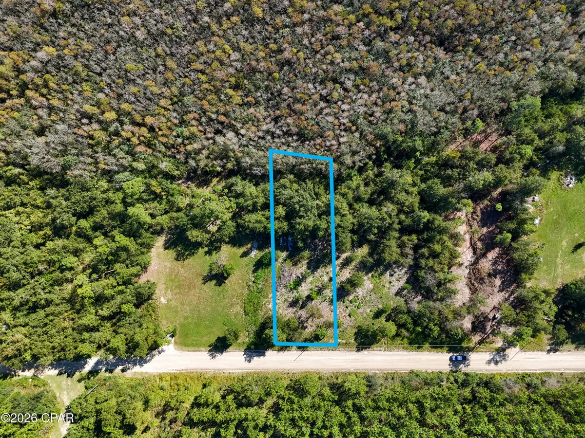 00000 Dead Lakes Drive, Wewahitchka, FL 32465 - #1