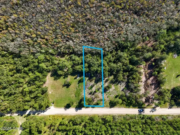 00000 Dead Lakes Drive, Wewahitchka, FL 32465
