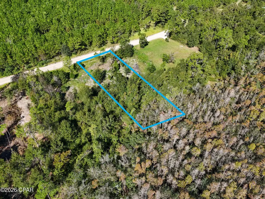 00000 Dead Lakes Drive, Wewahitchka, FL 32465 - #2