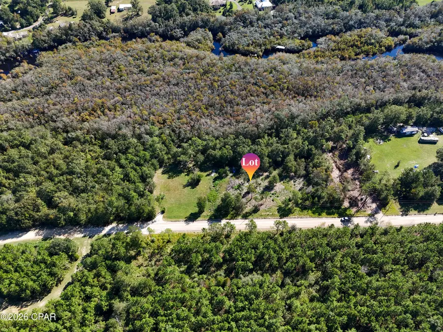 00000 Dead Lakes Drive, Wewahitchka, FL 32465 - #3