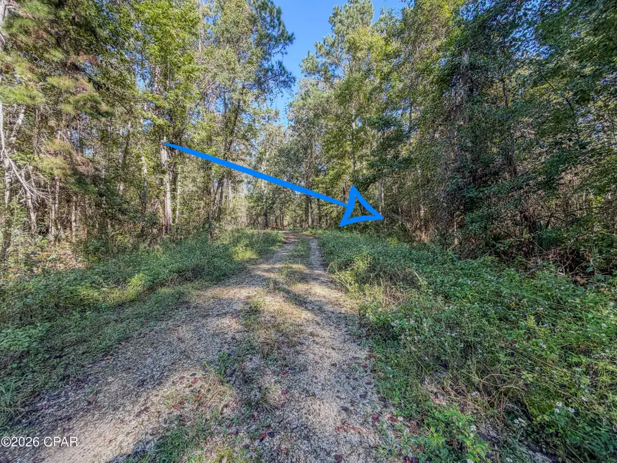 238 Riverside Circle, Wewahitchka, FL 32465 - #2