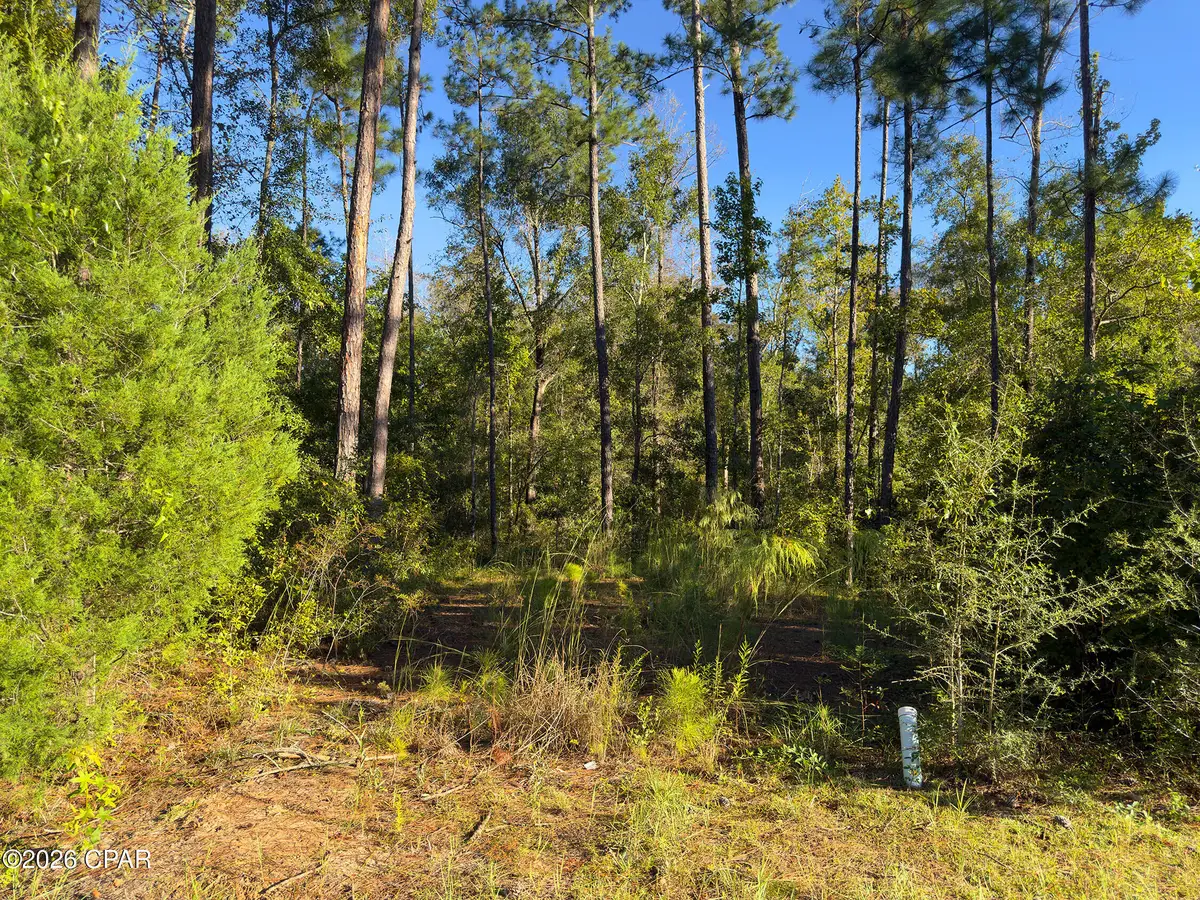 TBD Canning Drive, Wewahitchka, FL 32465 - #1