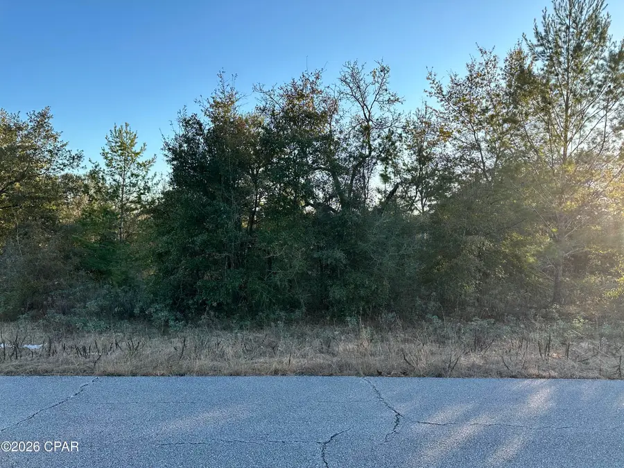 Lot 2 Clarion Street, Chipley, FL 32428 - #3