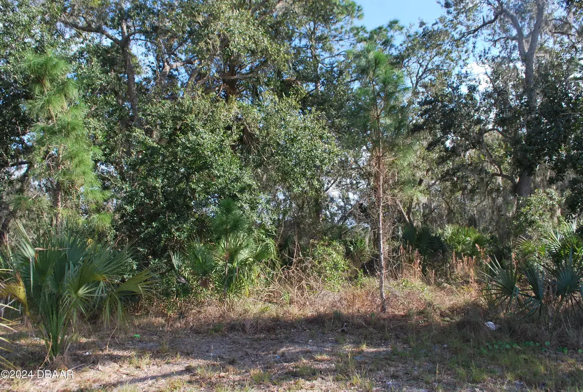 0 S Ridgewood Avenue, Edgewater, FL 32141 - #1