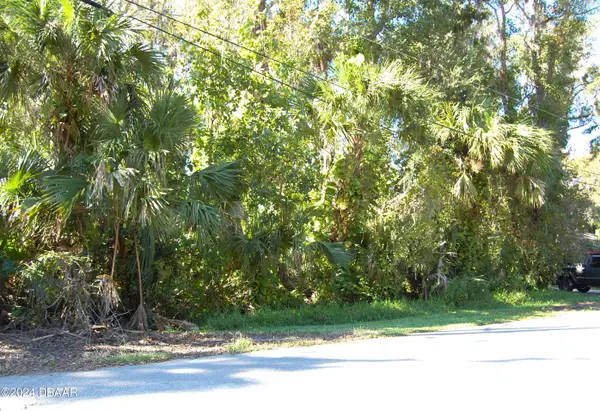 332 Patricia Drive, New Smyrna Beach, FL 32168