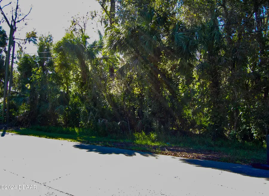 332 Patricia Drive, New Smyrna Beach, FL 32168 - #2