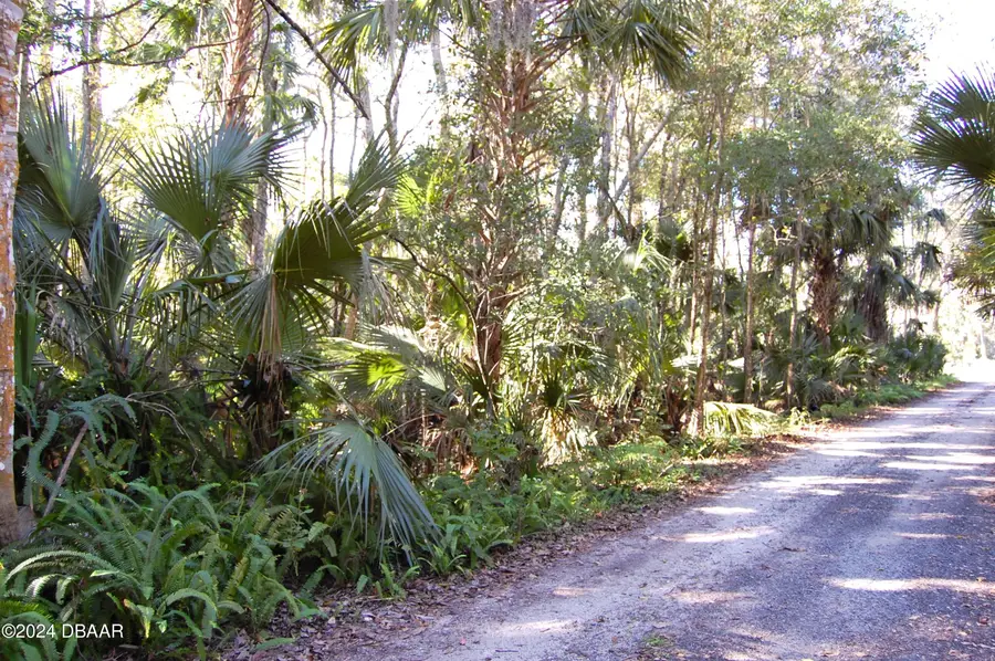 0 Palm Drive, New Smyrna Beach, FL 32168 - #2