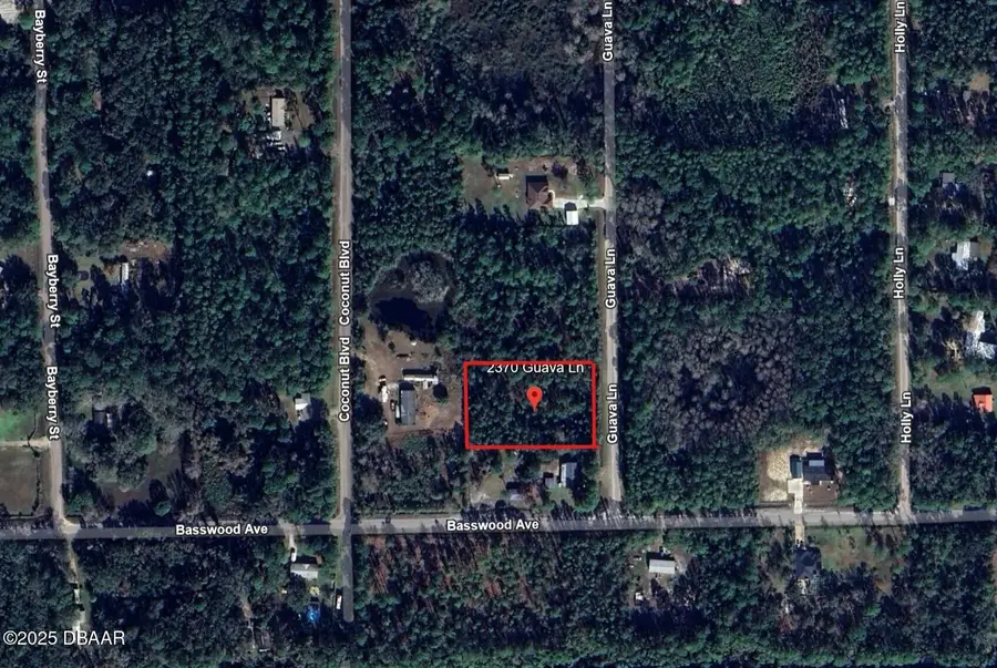 2370 Guava Lane, Bunnell, FL 32110 - #2