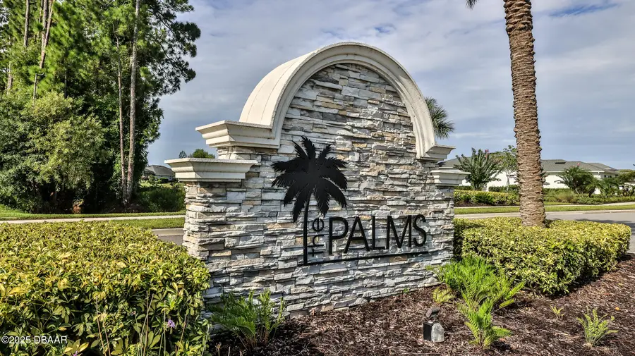 349 Caryota Court, New Smyrna Beach, FL 32168 - #3