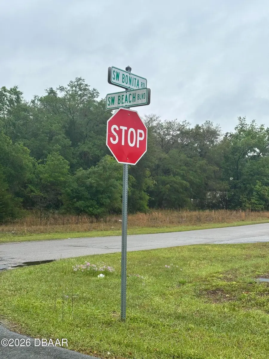 21223 Beach Boulevard, Dunnellon, FL 34431 - #3