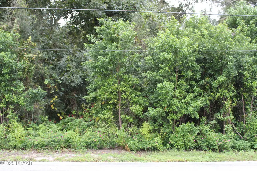 510 Fred Gamble Way, Ormond Beach, FL 32174 - Image #2