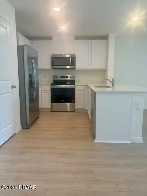 1676 Great Osprey Way, New Smyrna Beach, FL 32168 - Image #2