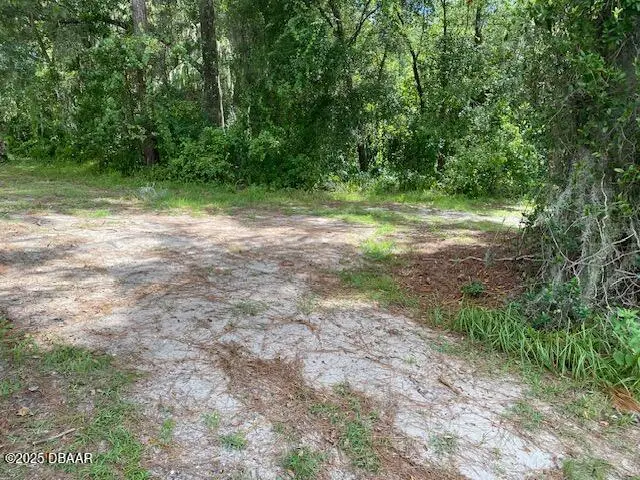 0 0, Deland, FL 32724 - Image #3