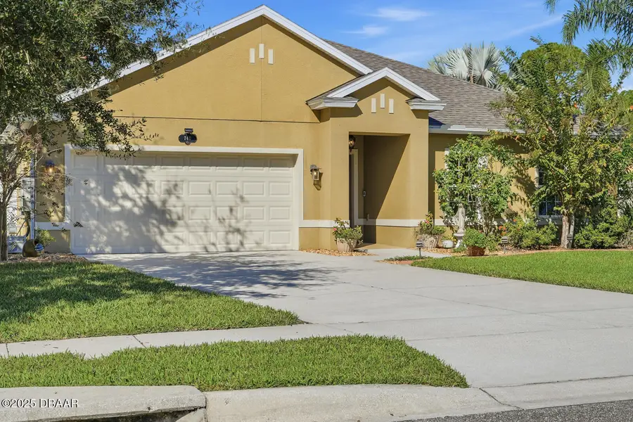 740 Grape Ivy Lane, New Smyrna Beach, FL 32168 - Image #2
