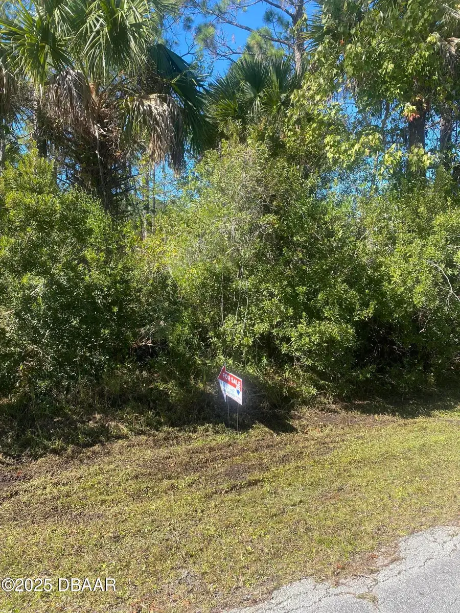 32 Serbian Bellflower Trail, Palm Coast, FL 32164 - Image #2