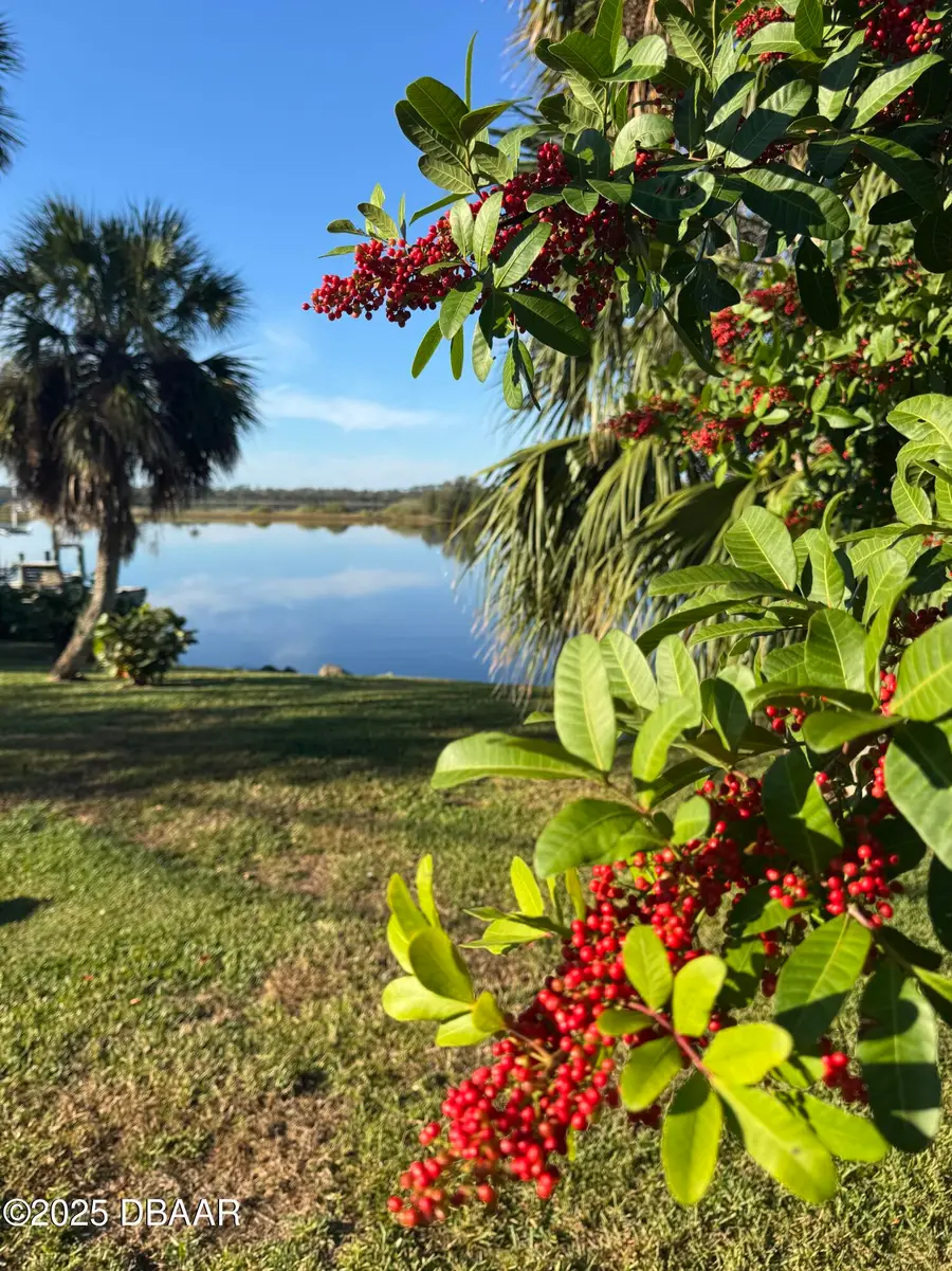 3780 John Anderson Drive, Ormond Beach, FL 32176 - #2