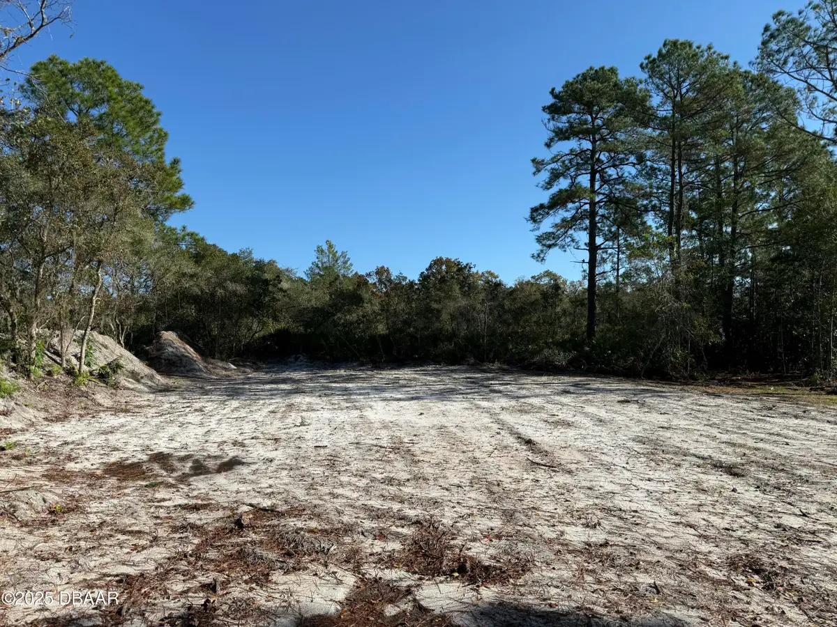 0 Viola Avenue, Eustis, FL 32736 - Image #1