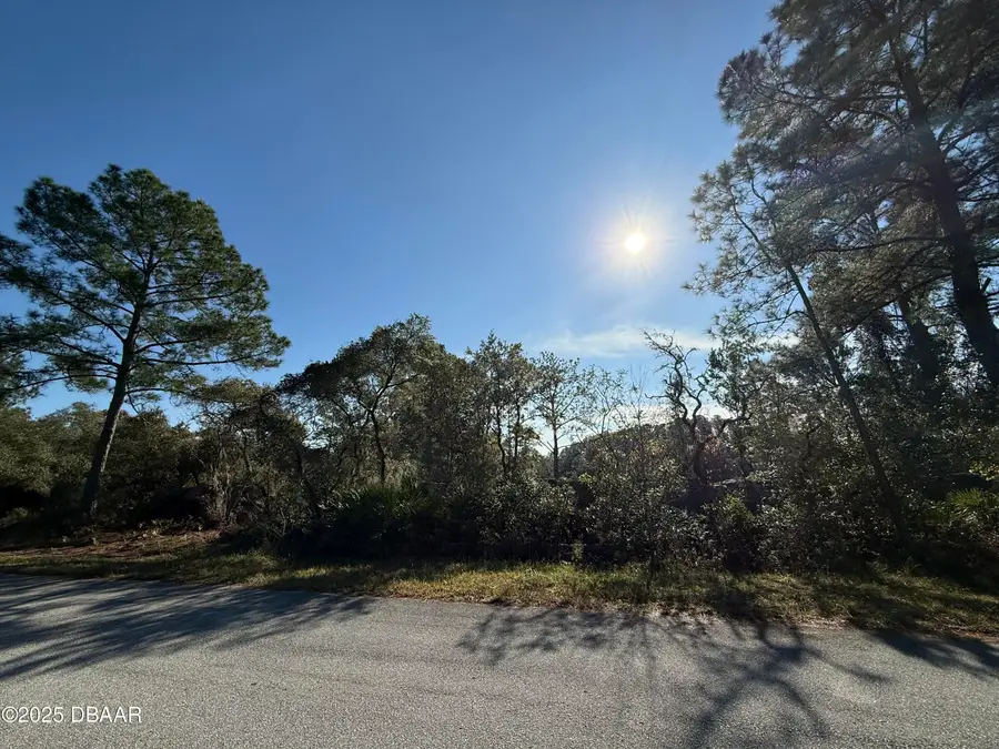 0 Viola Avenue, Eustis, FL 32736 - Image #3