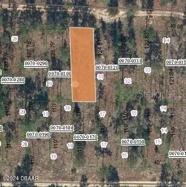 127 W Virginia Street, Hawthorne, FL 32640 - #1