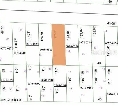 127 W Virginia Street, Hawthorne, FL 32640 - #3