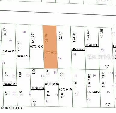 129 W Virginia Street, Hawthorne, FL 32640 - #3