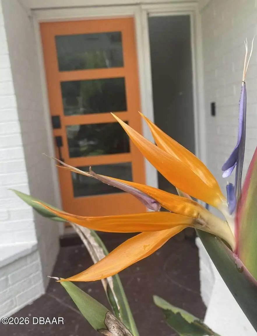 812 E 13th Avenue, New Smyrna Beach, FL 32169 - Image #2