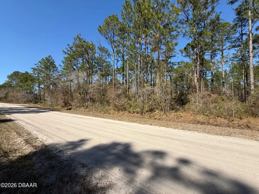 4664 Clove Avenue, Bunnell, FL 32110 - #2