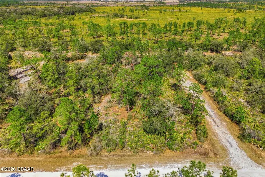 602 Azalea Drive, Lake Wales, FL 33855 - #3