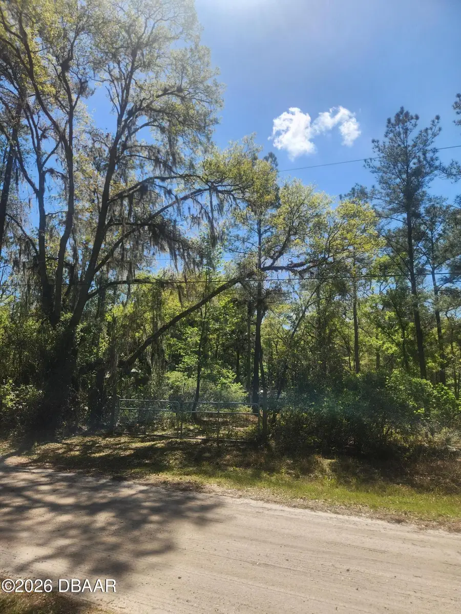 6549 Fruit Avenue, Bunnell, FL 32110 - #2